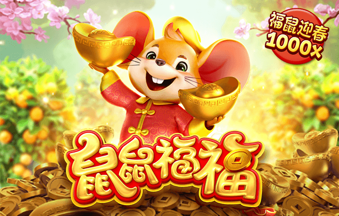 11133宝典下载